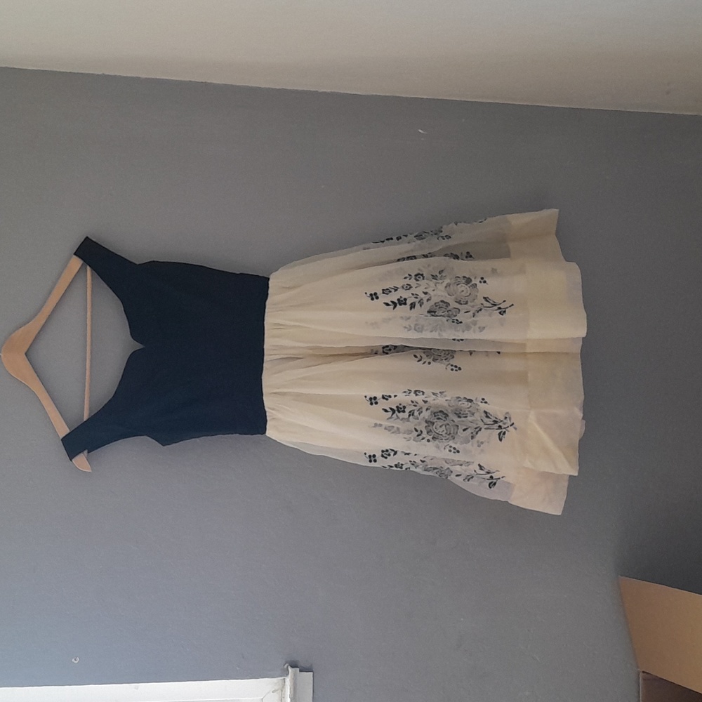 Vintage Prom dress Rose design